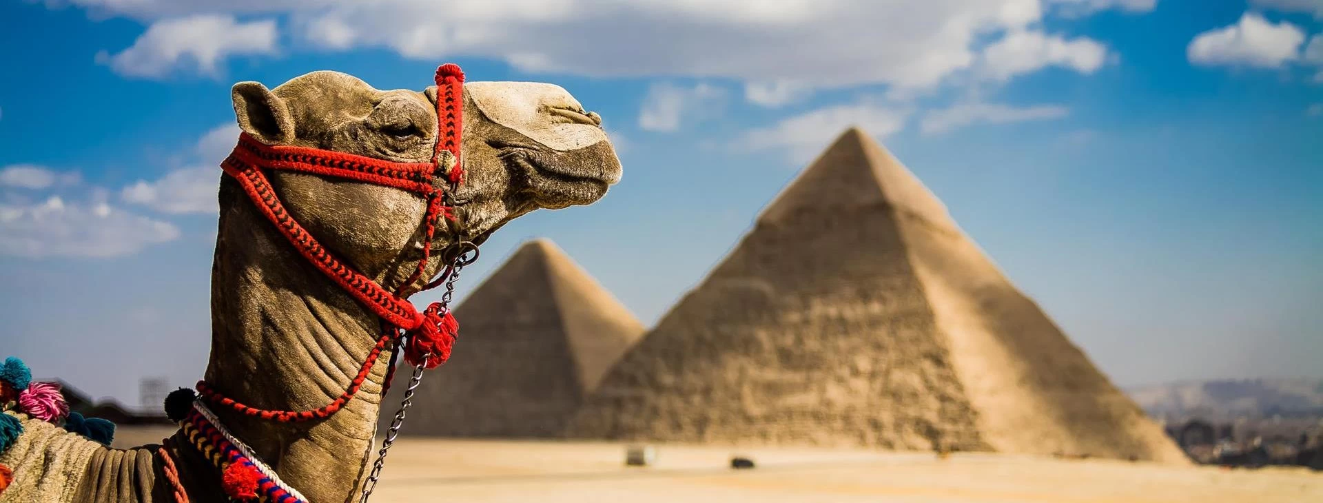 Honeymoon By The Pyramids