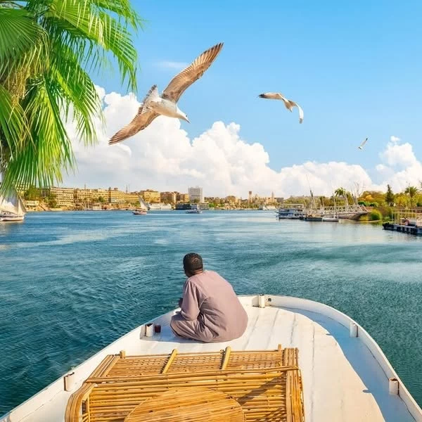 Cairo 5-days luxury tours