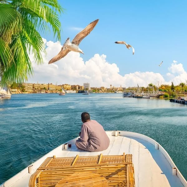 Cairo 5-days luxury tours