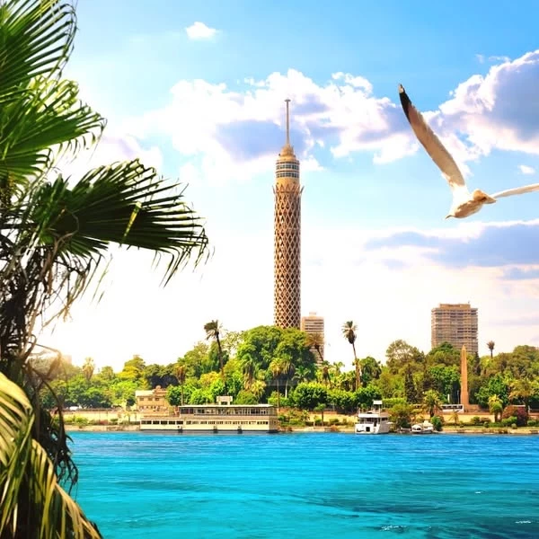 2 Days trip to Cairo and Alexandria from Aswan