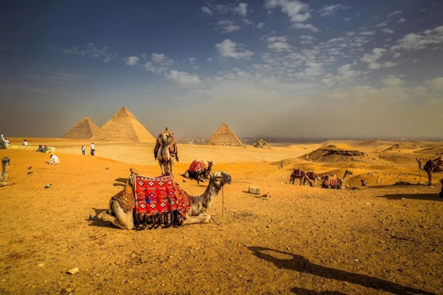 Half-Day Pyramids Tour