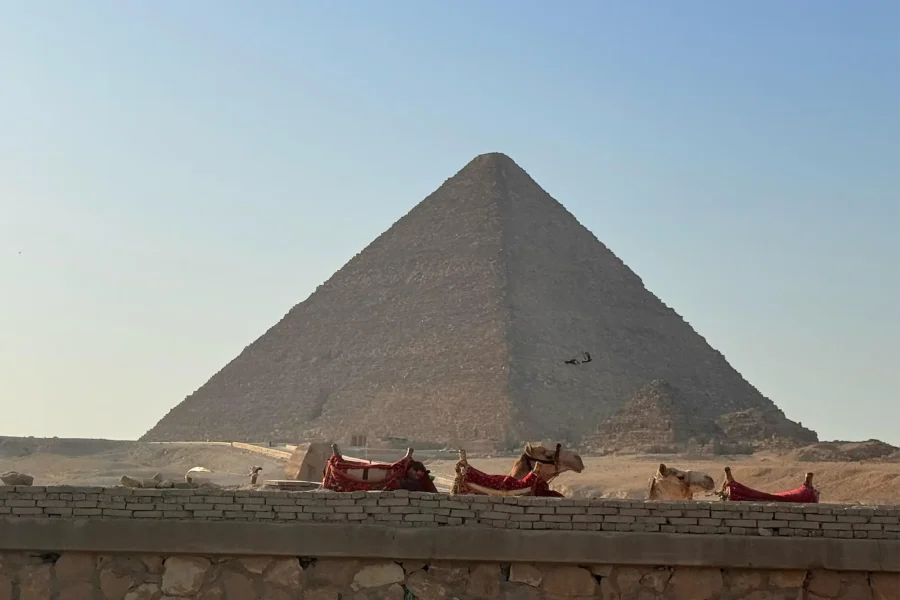 Full-Day Pyramids & Grand Egyptian Museum